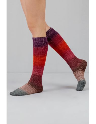 Conjunto de 2 novelos de lã para meias Echoes Fingering Gusto Wool