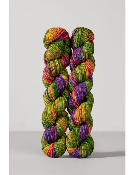 Conjunto de 2 novelos de lã para meias Echoes Fingering Gusto Wool