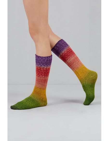 Conjunto de 2 novelos de lã para meias Echoes Fingering Gusto Wool