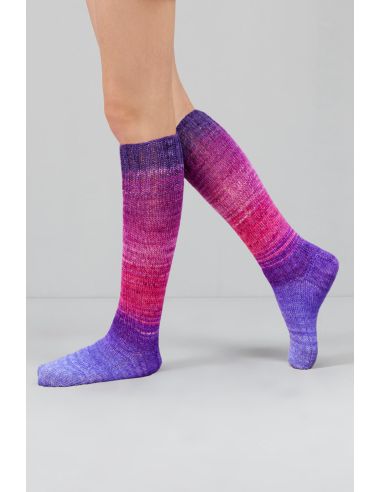 Conjunto de 2 novelos de lã para meias Echoes Fingering Gusto Wool