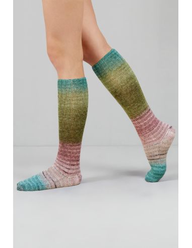 Conjunto de 2 novelos de lã para meias Echoes Fingering Gusto Wool