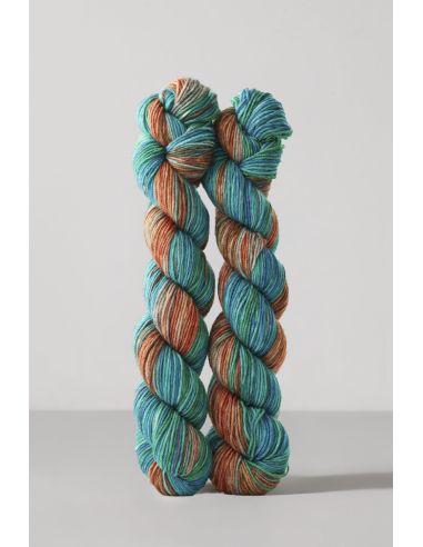 Conjunto de 2 novelos de lã para meias Echoes Fingering Gusto Wool