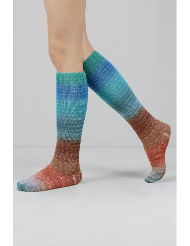 Conjunto de 2 novelos de lã para meias Echoes Fingering Gusto Wool