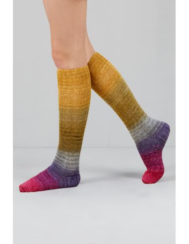 Conjunto de 2 novelos de lã para meias Echoes Fingering Gusto Wool