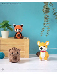 Conjunto de objetivos de crochê - Meus 3 primeiros amigurumis 2