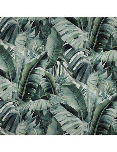 Tela de algodão canvas - Tropical