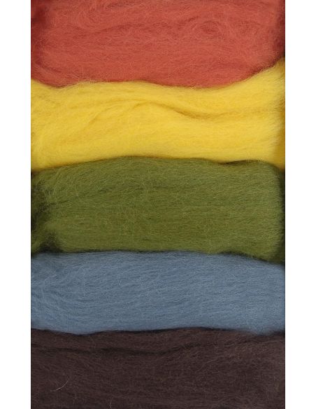Conjunto de 5 lãs cardadas para feltrar DMC - Outono