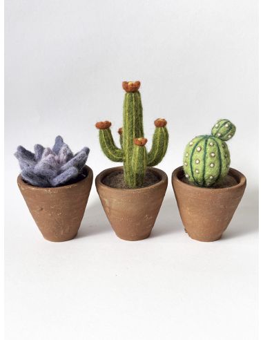 Conjunto de 5 lãs cardadas para feltrar DMC - Bouquet