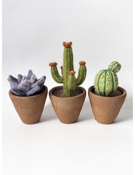 Conjunto de 5 lãs cardadas para feltrar DMC - Bouquet