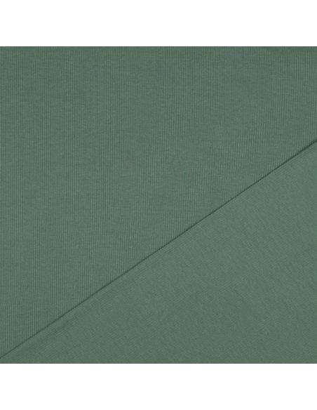 Tecido jersey de algodão malha fina canelada - Verde