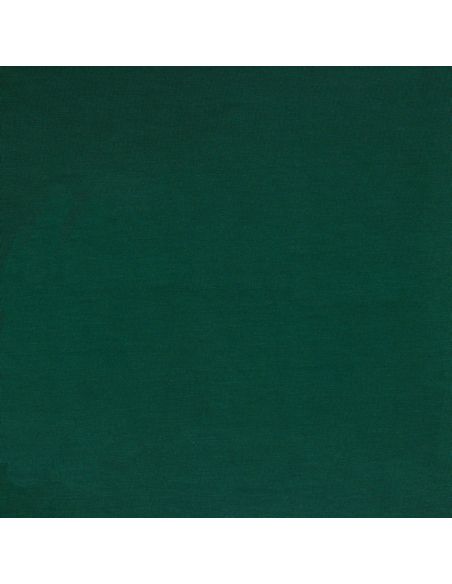 Tecido jersey tencel modal - Verde