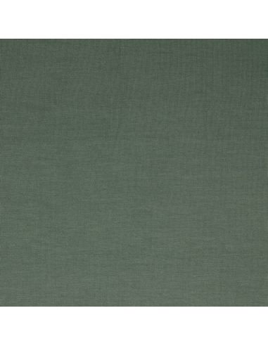 Tecido jersey tencel modal - Verde samambaia