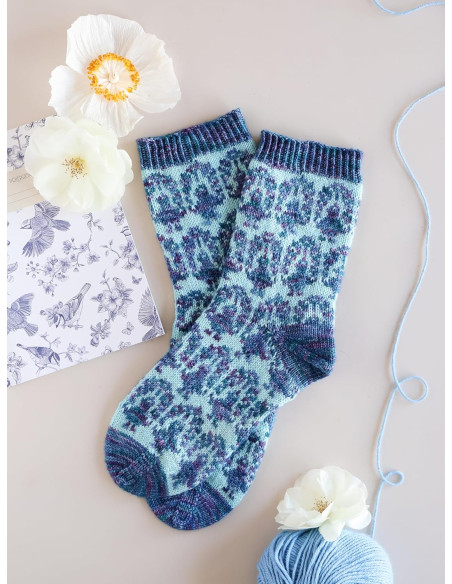 Livre le guide des chaussettes au tricot jacquard