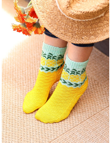 Livre le guide des chaussettes au tricot jacquard