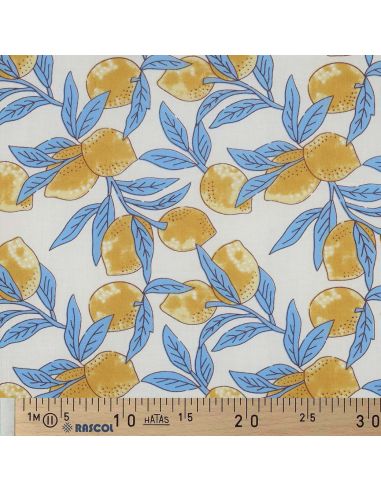 Tecido de algodão indiano block print Limões - Folhas azuis