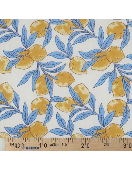Tecido de algodão indiano block print Limões - Folhas azuis