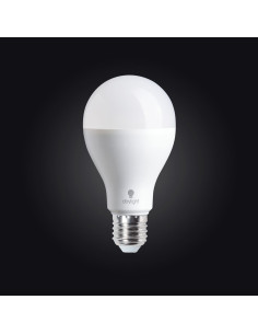Lâmpada LED Daylight luz do dia - 19 watts com rosca